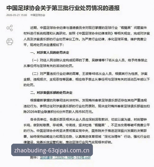 资深玩家观察手记：从足协第三批禁足名单看中国足球生态重构